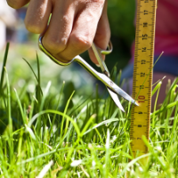 Mow Less