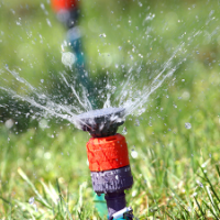 Wetting Agents