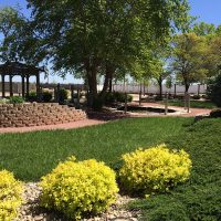 Landscaping