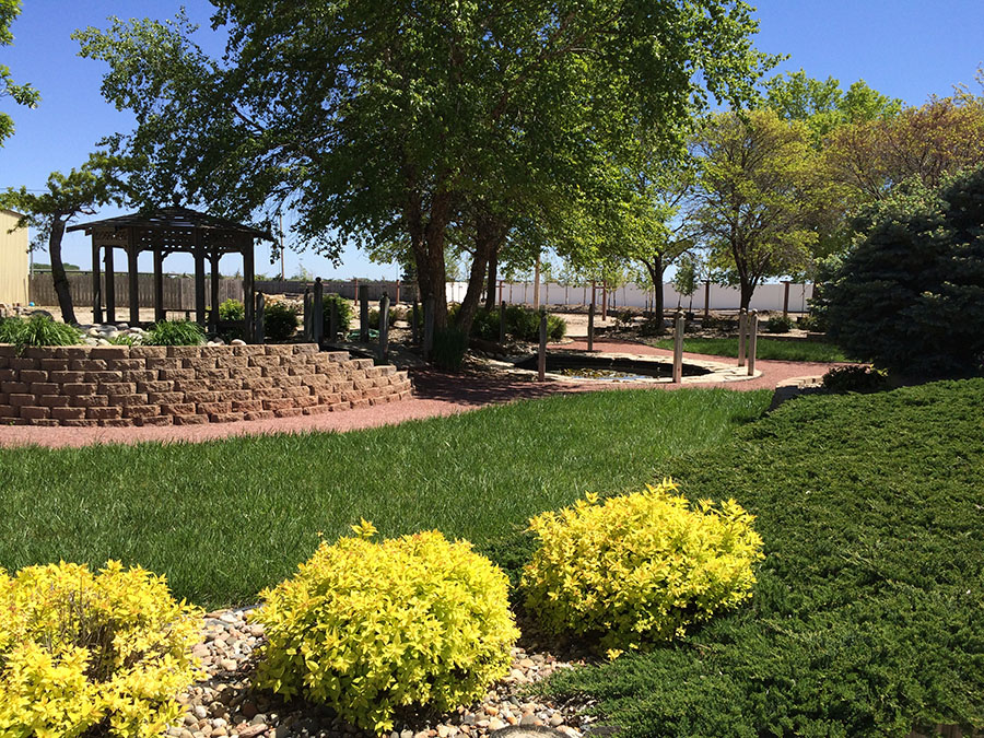 Landscaping from Riedel Garden Center